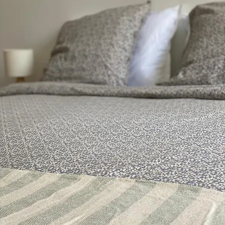 Dame Carcas Carcassonne