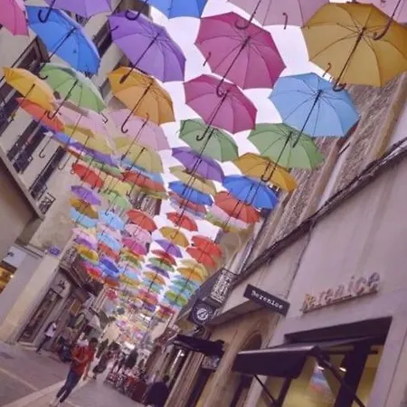 Appartement Dame Carcas *