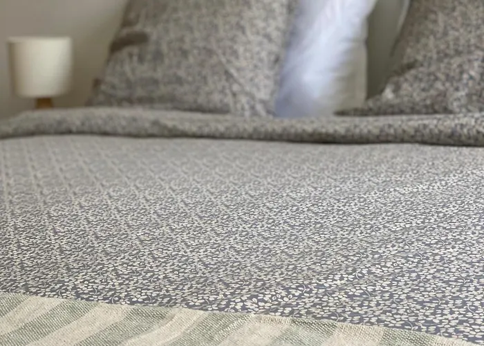 Dame Carcas Carcassonne