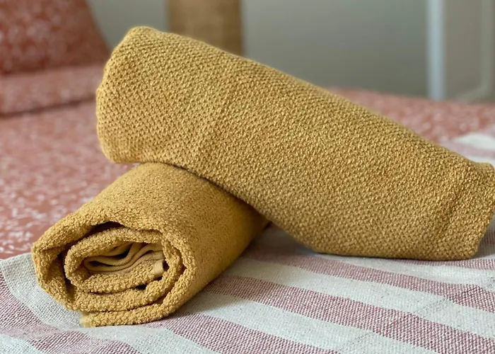 Apartament Dame Carcas *